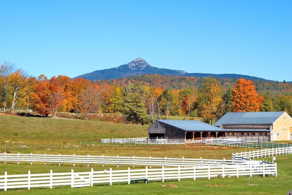 Remick Country Doctor Museum and Farm