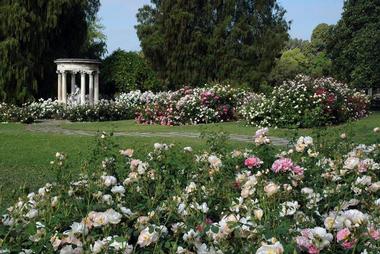 The Huntington Botanical Gardens