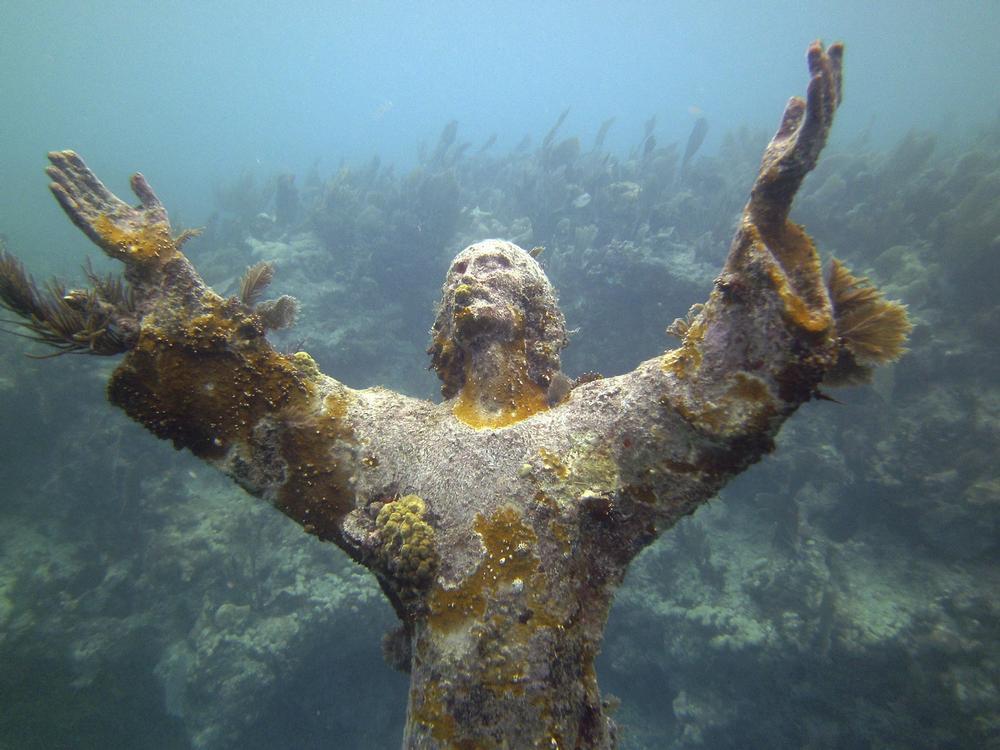 Attractions at John Pennekamp Coral Reef State Park