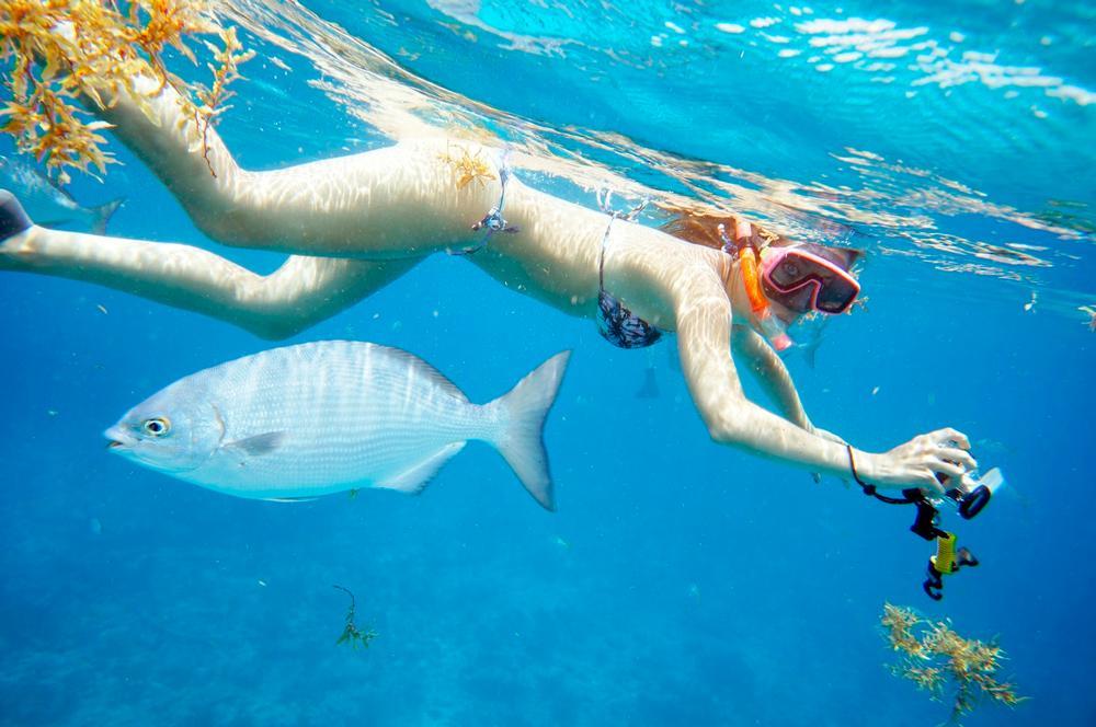 Ongoing Programs at John Pennekamp Coral Reef State Park