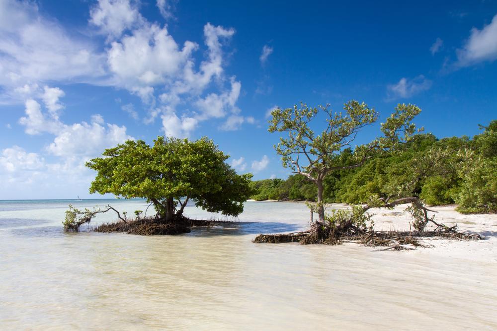 Anne's Beach - 40-minute drive south of Key Largo