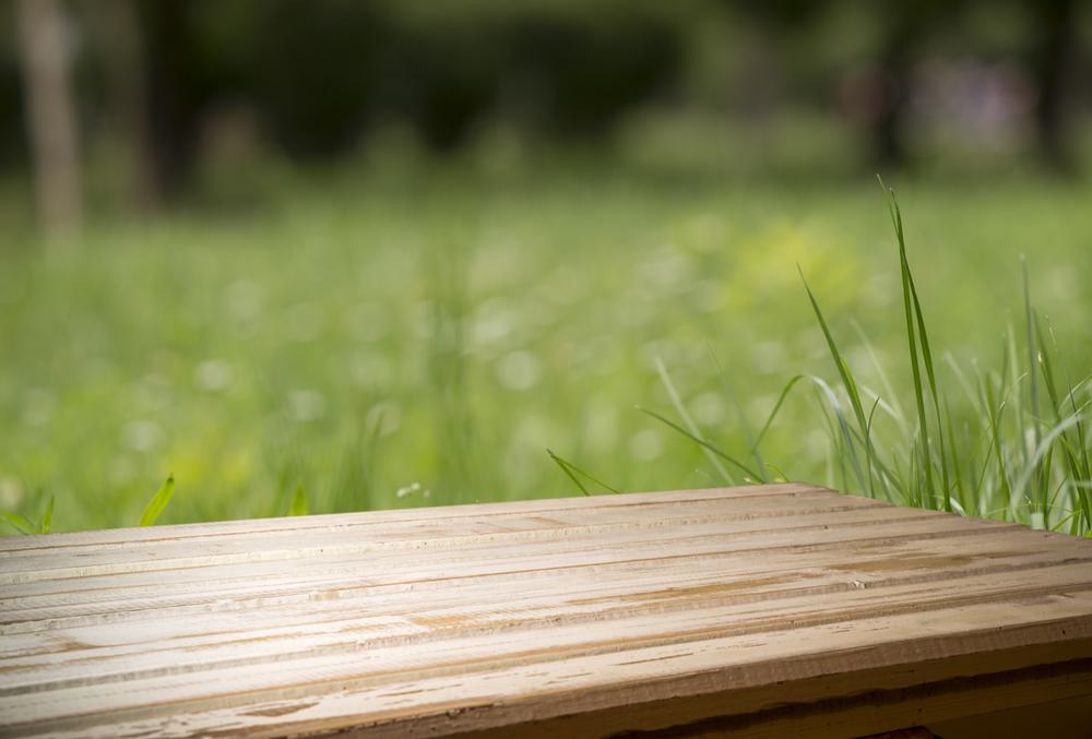 Relax and Recharge at Central Park
