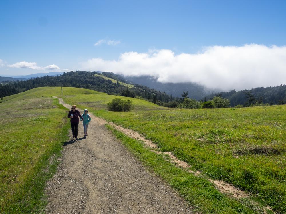 Hike Wild Trails and Relax by Horseshoe Lake at Skyline Ridge Preserve