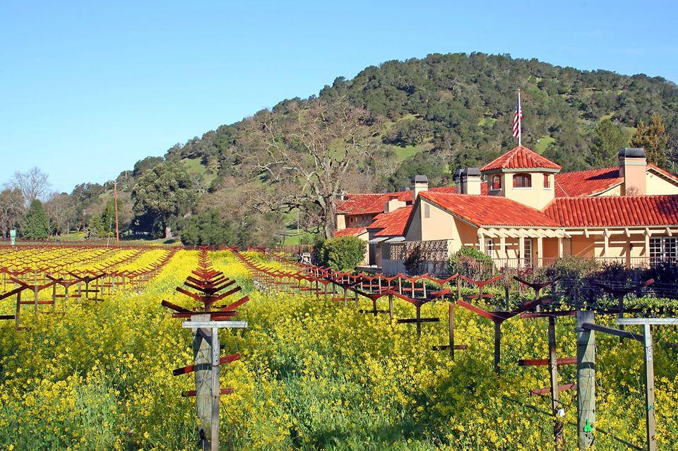 Savor Wine Country Relaxation: If You Love Cozy Luxury, Then Choose Napa Valley Lodge