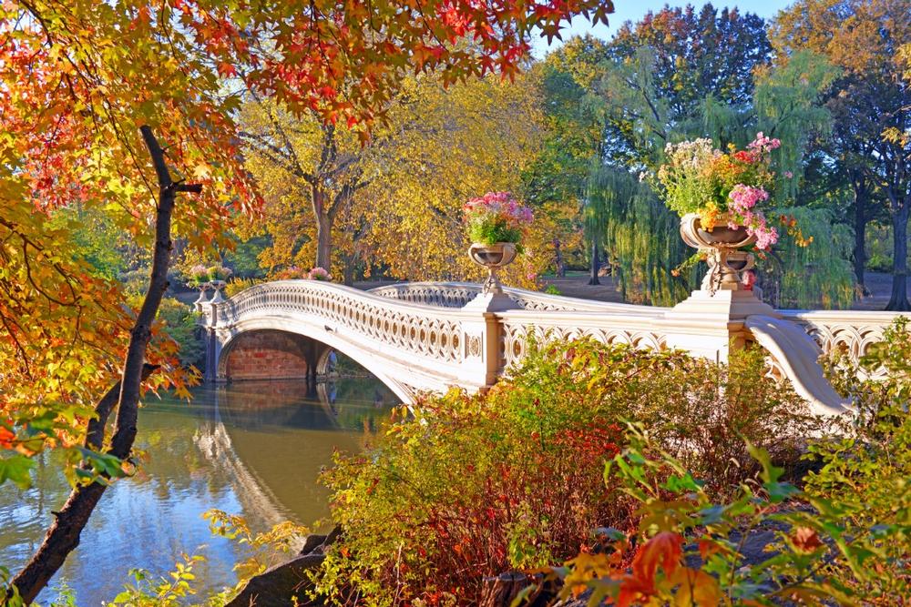 If You Want a Classic NYC Experience, Wander Central Park’s Iconic Trails
