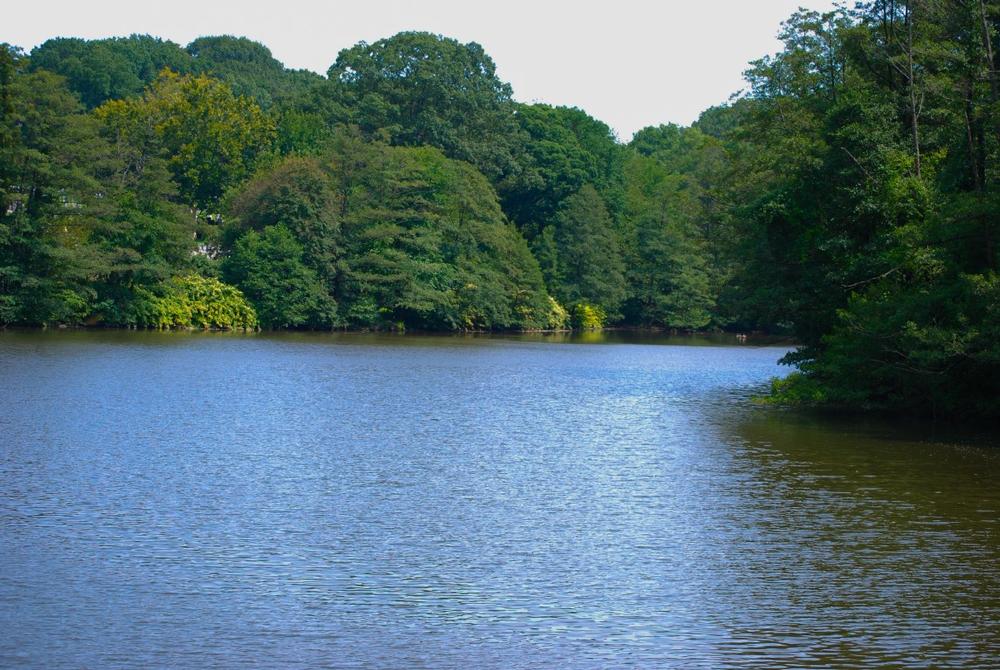 Paddle and Picnic in Peaceful Greenery at Clove Lakes Park