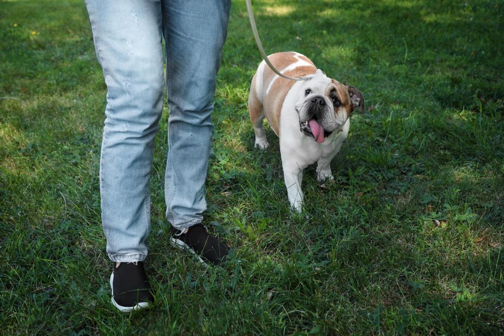 If You’re Looking for Sports and Open Space, Head to Crotona Park