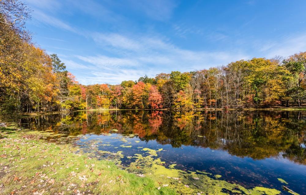 Hike scenic trails, admire breathtaking waterfalls, and explore a peaceful mountain retreat.