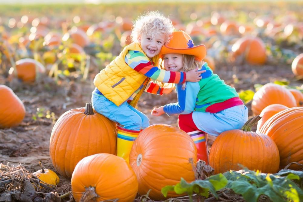 Cherry Crest Adventure Farm - 1 hour and 20 minutes by car
