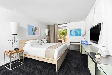 Rooms & Suites
