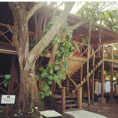 Guest Accommodations