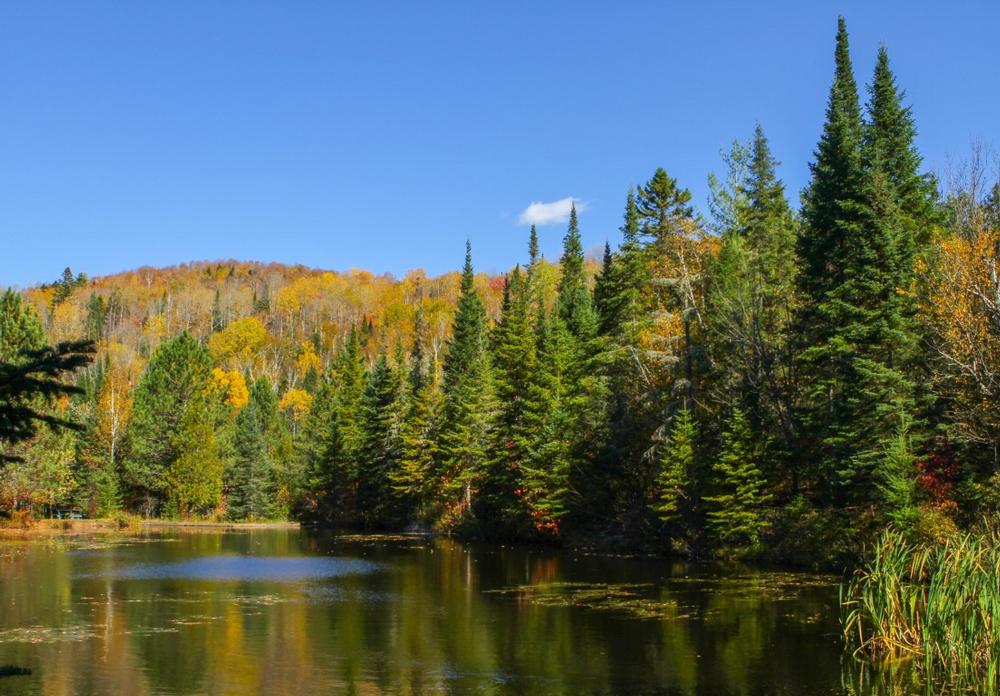 Laurentians - 1 hour