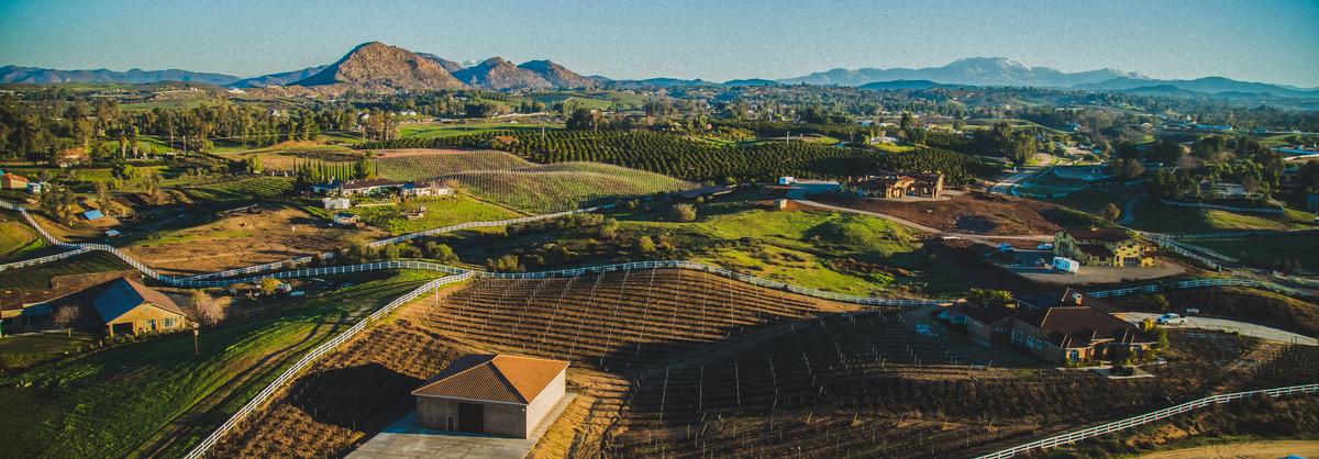 Enjoying rolling hill and vineyard views in Temecula