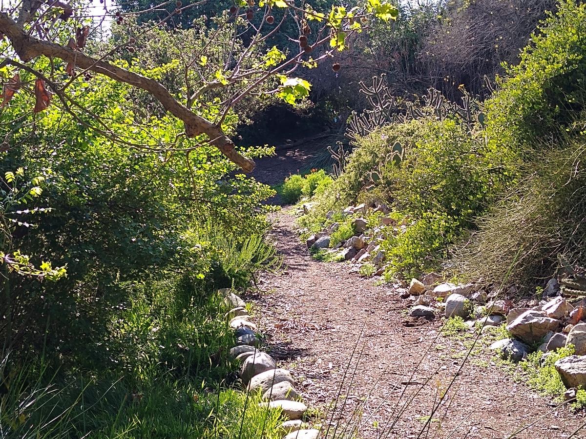 Explore native gardens and visit learning exhibits on a fun kids-friendly outing.