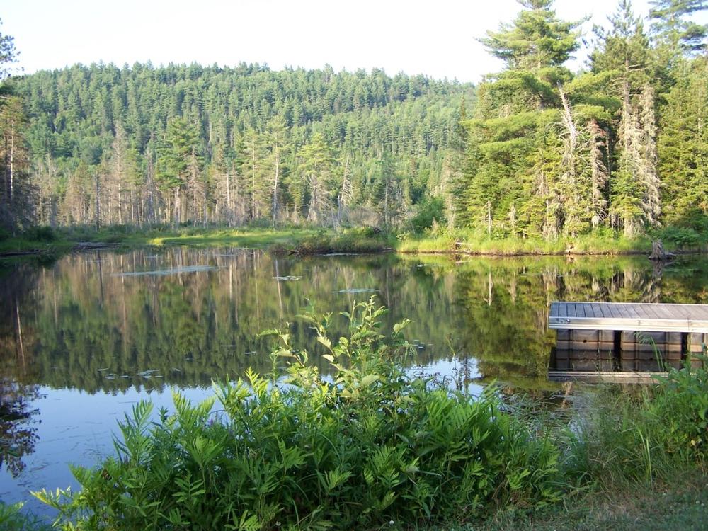 La Mauricie National Park - 2 hours and 15 minutes
