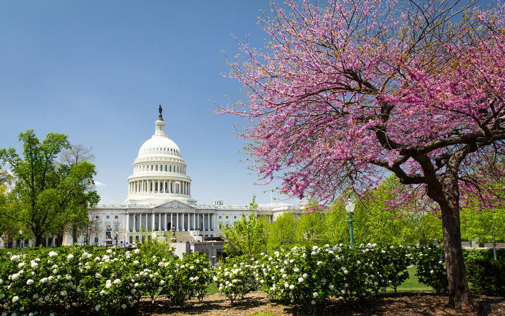 Explore free museums and admire monuments on a quick educational family trip.