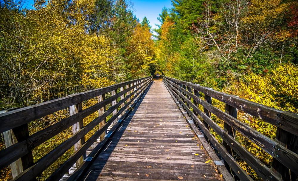 Bike on the Virginia Creeper Trail and explore scenic nature with family.