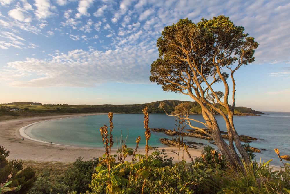 Maitai Bay - 1 hour from Kaitaia
