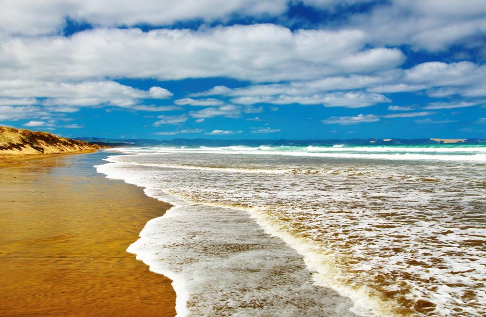 Ninety Mile Beach - 1 hour from Kaitaia
