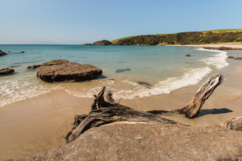 Tawharanui Regional Park - 1.5 hours by car from Auckland