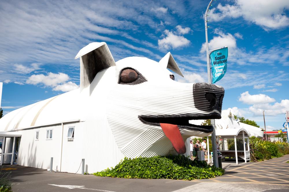 Snap Fun Photos with the Big Dog and Sheep