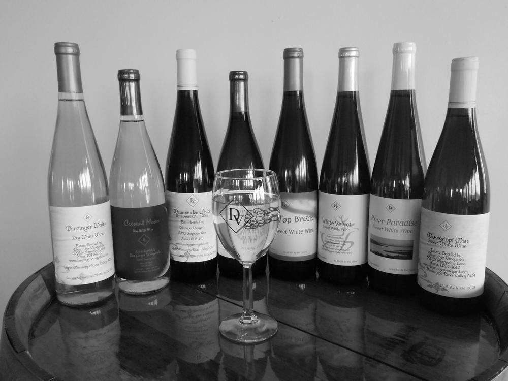 Sip Wines with a View at Danzinger Vineyard