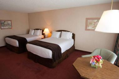 More Accommodation Options