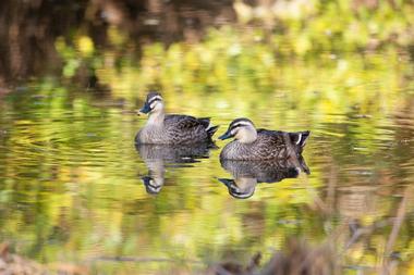 Two Ponds National Wildlife Refuge