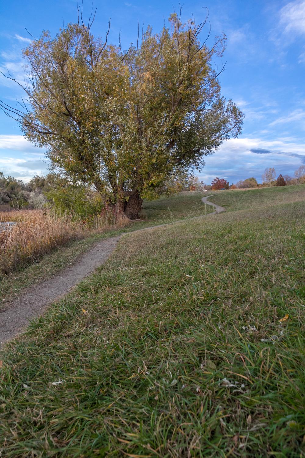 Connect with Nature at Majestic View Park and Nature Center