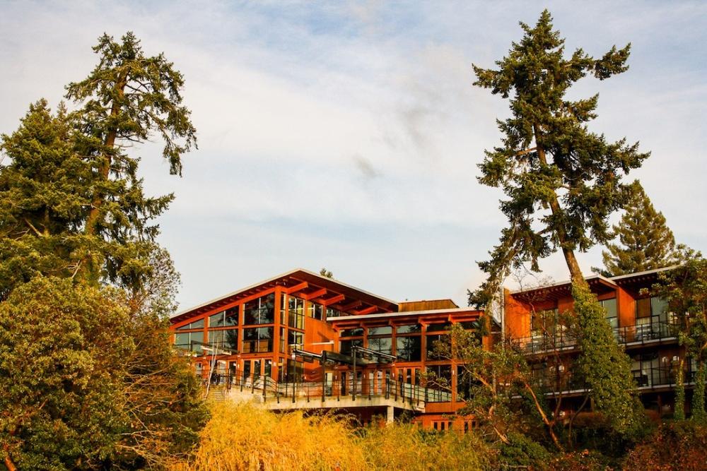 Soak in Seaside Serenity at Brentwood Bay Resort & Spa