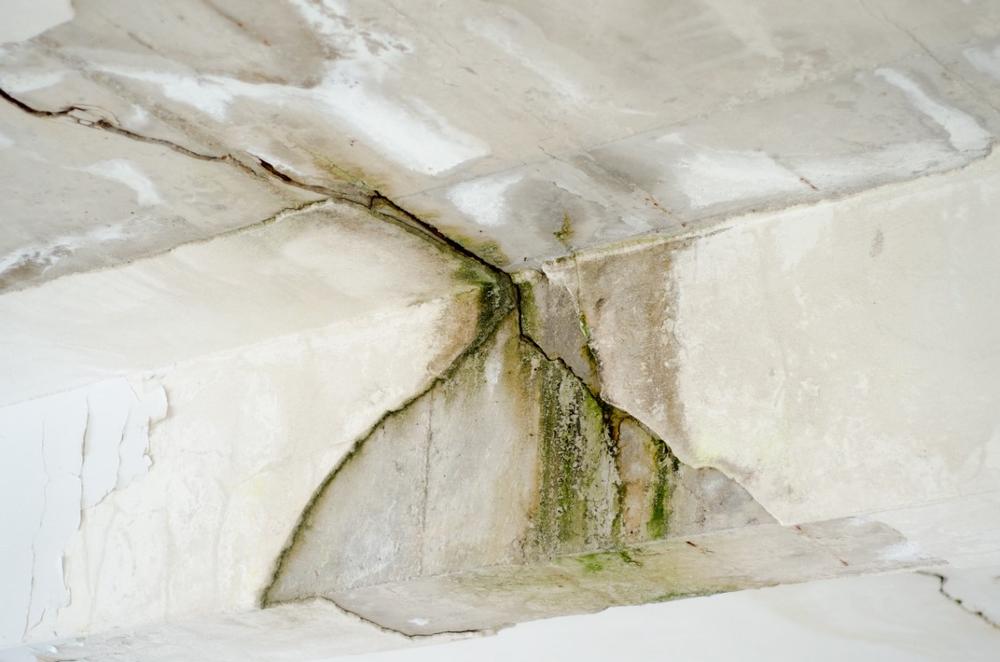 Step Into Ancient Baths at the Museo de las Termas Publicas de Caesaraugusta