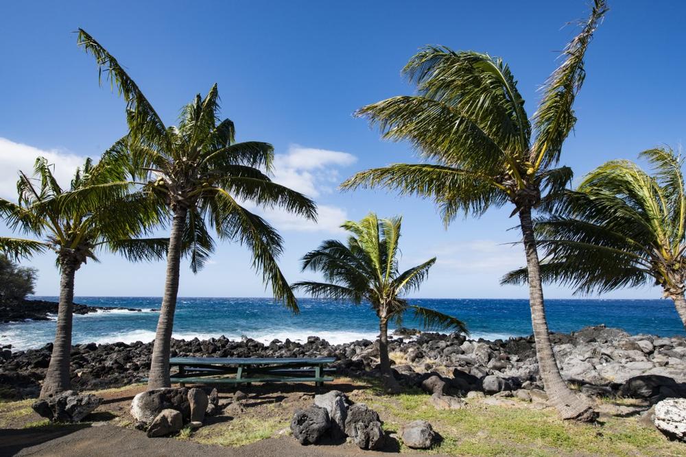Catch the Sunrise: Fish, Picnic, and Unwind at Kapa'a Beach Park