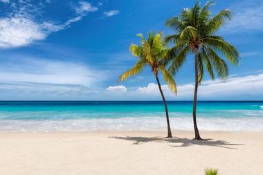 Best of Hawaii Tours & Activities