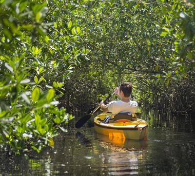 Best Kayaking Locations in the Everglades
