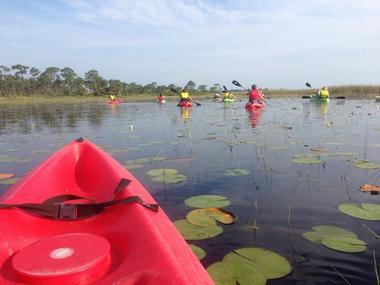Kayak Tours and Rentals on the Everglades