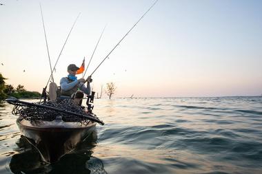 Action Kayak Adventures