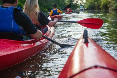 Ripple Effect Ecotours