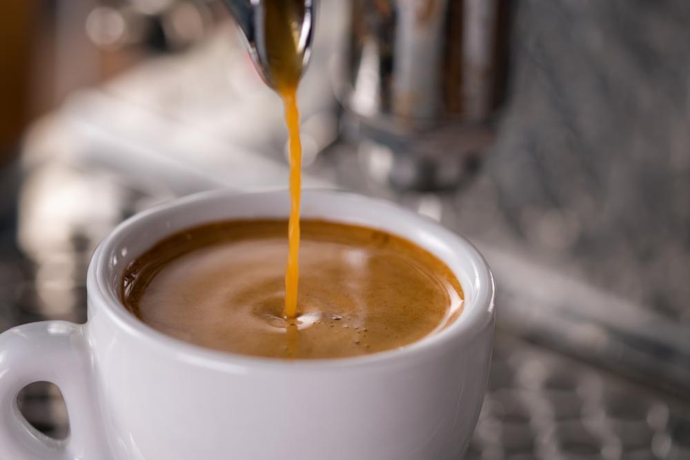 Start Your Day Right with Global Flavors at Cafe Mogador Williamsburg