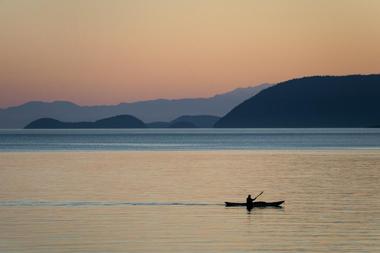 Kayak Tours and Rentals at the San Juan Islands