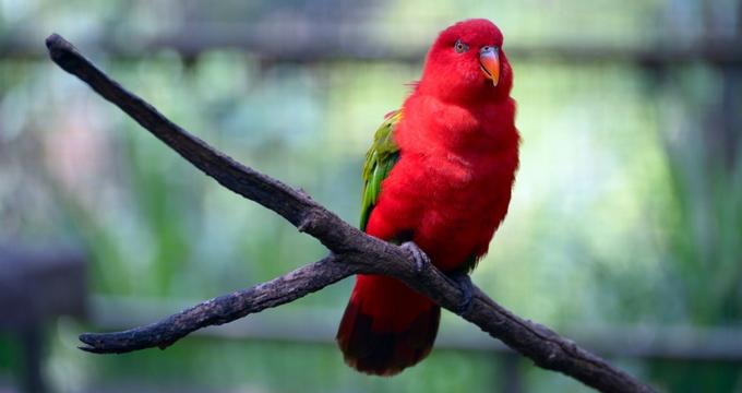 Albuquerque Biological Park