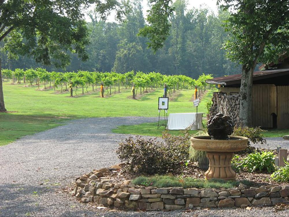 Sip Southern Flavor at Wills Creek Vineyards