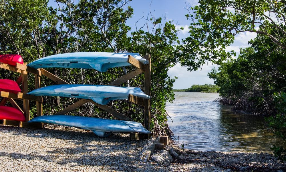 Kayak through mangroves and explore serene nature trails.