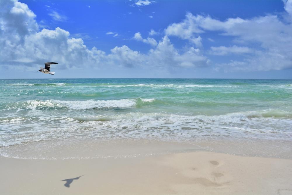 If You Crave Beachside Adventure, Explore Gulf Islands National Seashore