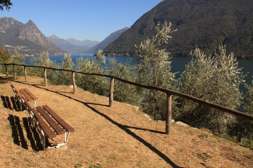 Hike Scenic Paths Along The Olive Grove Trail