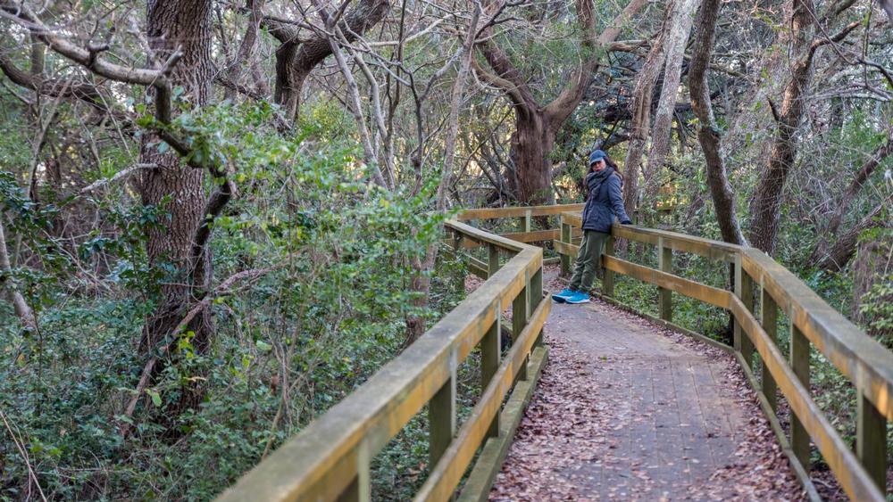 Hike Through Seaside Scenery on the Hoop Pole Creek Nature Trail
