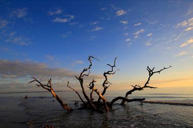 Jekyll Island