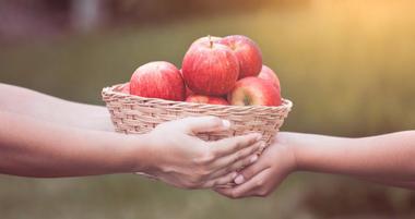 Apple Picking Texas