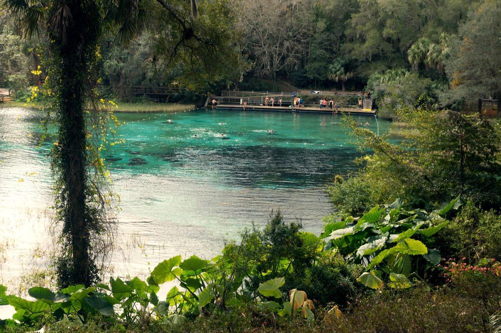 Rainbow Springs State Park - 1 hour 45 minutes from Cedar Key