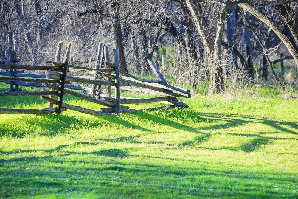 Cedar Hill State Park - 30 minutes south of downtown Dallas, TX