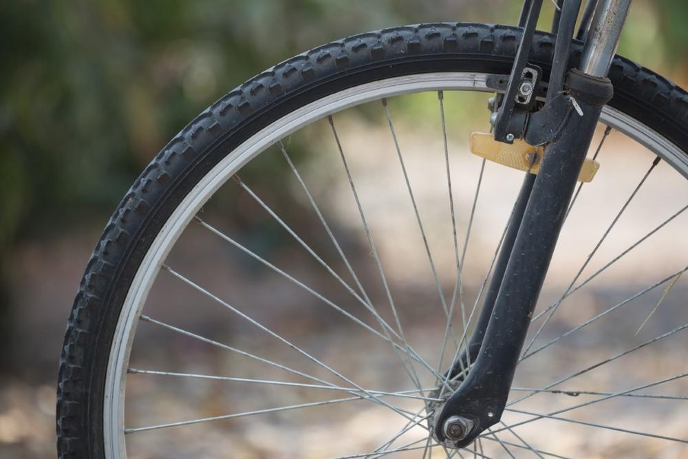 Pedal Through Scenic Routes on the Edgar Felix Memorial Bikeway